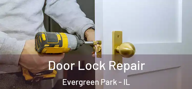 Door Lock Repair Evergreen Park - IL