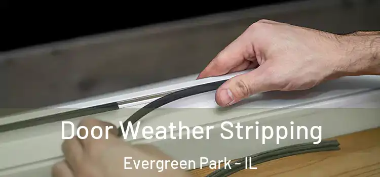 Door Weather Stripping Evergreen Park - IL
