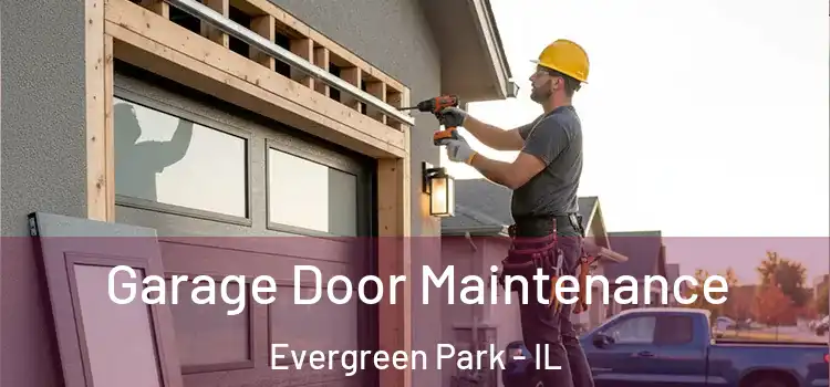 Garage Door Maintenance Evergreen Park - IL
