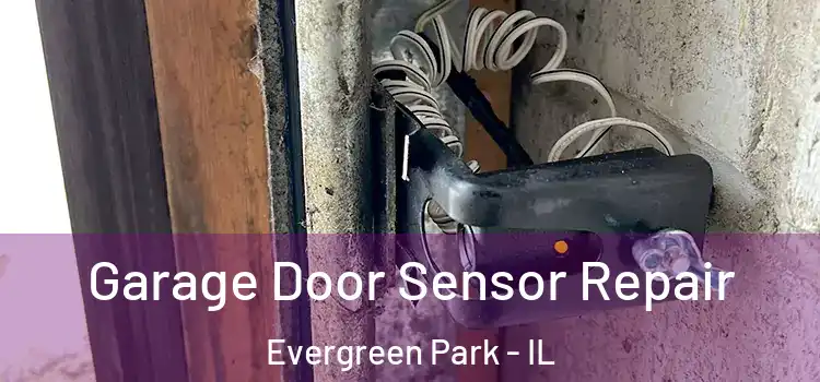 Garage Door Sensor Repair Evergreen Park - IL
