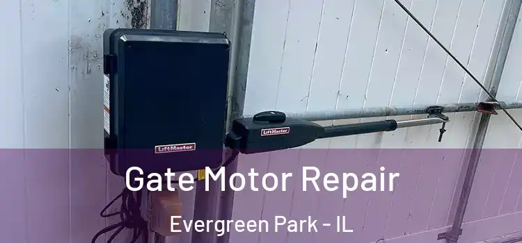 Gate Motor Repair Evergreen Park - IL