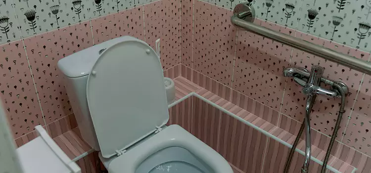 Meeting Diverse Needs With Accessible Restroom Solutions in Evergreen Park, IL