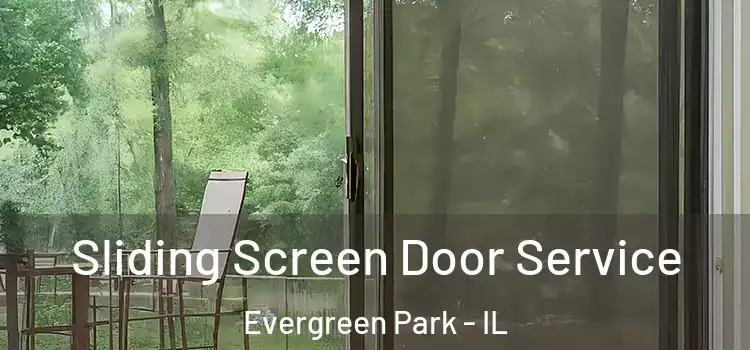Sliding Screen Door Service Evergreen Park - IL